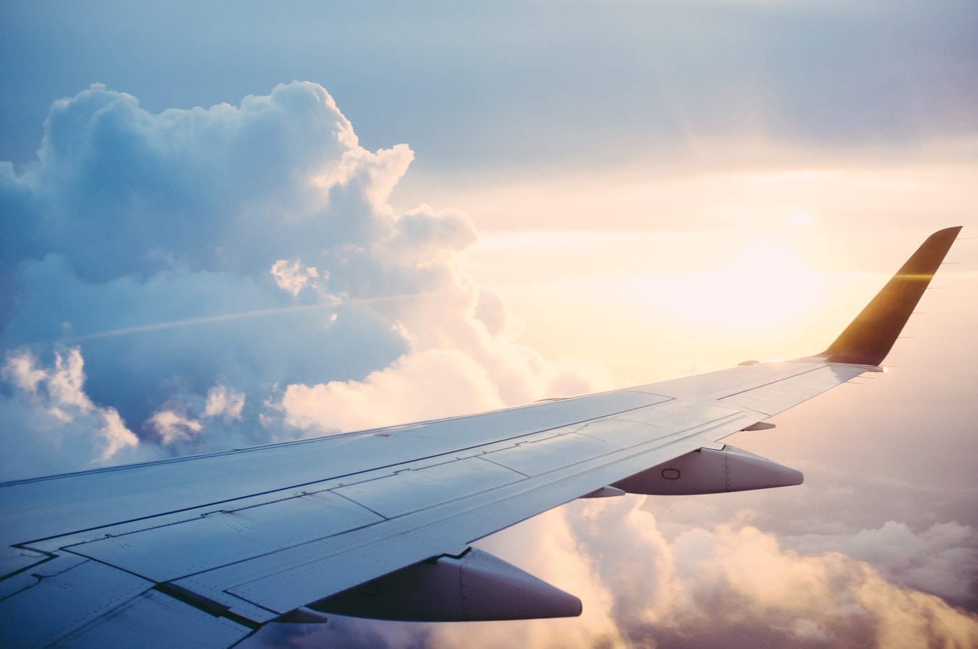 Flight home